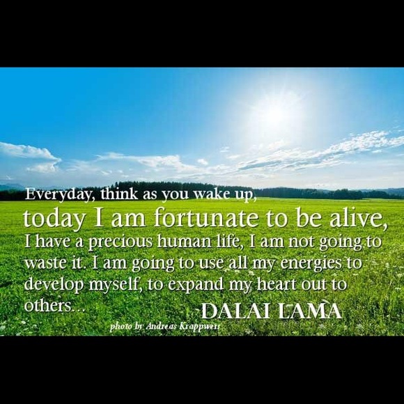 Meet your Posher, Julie - Picture 6 of 7